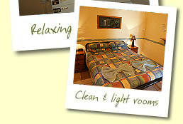Clean and light rooms at Tropic Days, Cairns backpacker accommodation.