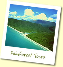 Rainforest Tours