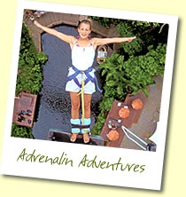Adrenalin Adventures like Bungy jumping with AJ Hackett Bungy in Cairns
