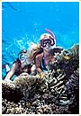 Diving and Reef Tours
