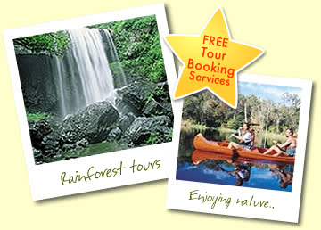 Rainforest Tours, Enjoying nature, Free Tour Booking Services