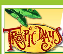 Tropic Days Backpackers Cairns - Cairns Backpacker accommodation