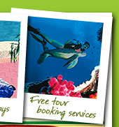 Tropic Days Backpackers Cairns - Cairns Backpacker accommodation